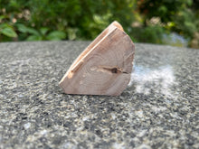 Load image into Gallery viewer, The Capella Rustic Oak Vertical Open Topped Trinket Box