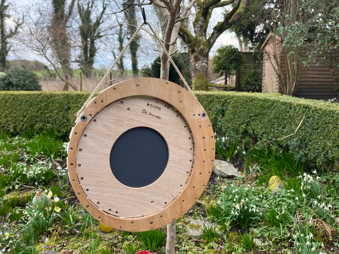 The Chi Draconis Slatted Frame Mirror