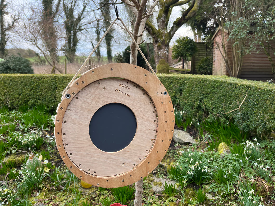 The Chi Draconis Slatted Frame Mirror