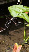 Load image into Gallery viewer, The Wire Dragonfly
