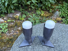 Load image into Gallery viewer, Twins