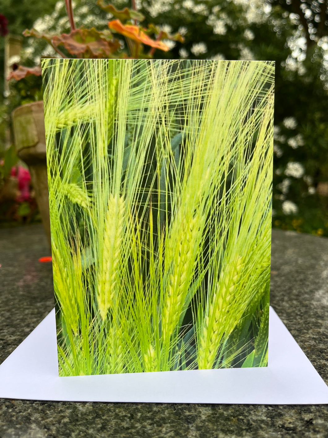 Rural Hampshire Greeting Card