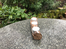 Load image into Gallery viewer, Alderamin, grape stem  tea light holder
