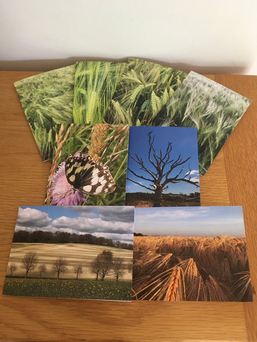 Greeting Cards, Pack over 8 assorted photos of rural life in Hampshire