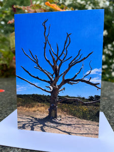 Rural Hampshire (St. Helens Isle of Wight) Greeting Card