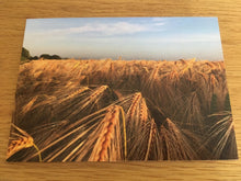 Load image into Gallery viewer, Greeting Cards, Pack over 8 assorted photos of rural life in Hampshire