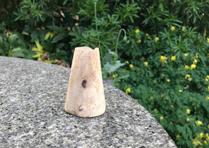 The Alnasl Oak Vase