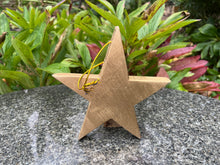 Load image into Gallery viewer, Dwarf Star