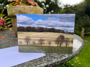 Rural Hampshire (Ashley) Greeting Card