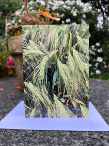 Rural Hampshire Greeting Card