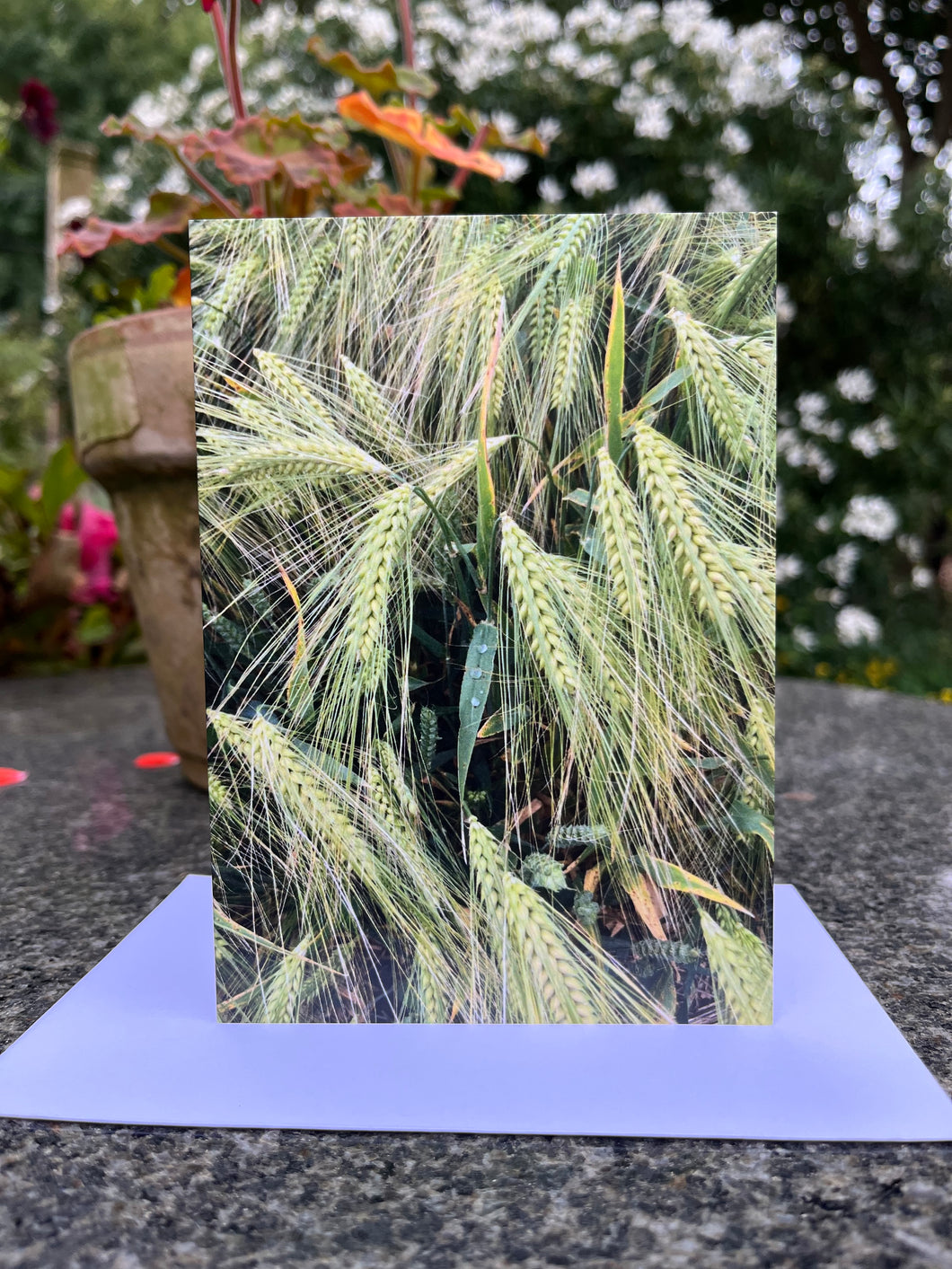 Rural Hampshire Greeting Card
