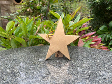 Load image into Gallery viewer, Dwarf Star