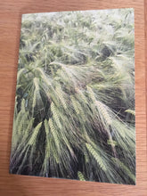 Load image into Gallery viewer, Greeting Cards, Pack over 8 assorted photos of rural life in Hampshire