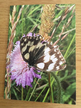 Load image into Gallery viewer, Greeting Cards, Pack over 8 assorted photos of rural life in Hampshire