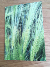 Load image into Gallery viewer, Greeting Cards, Pack over 8 assorted photos of rural life in Hampshire