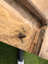 Load image into Gallery viewer, From Farmhouse door to Dining Table