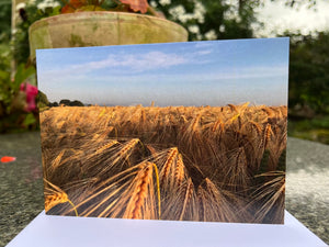 Rural Hampshire Greeting Card