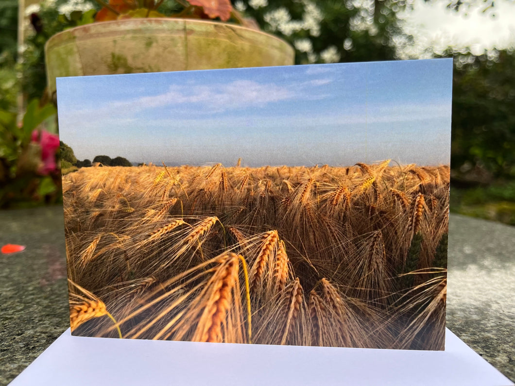 Rural Hampshire Greeting Card