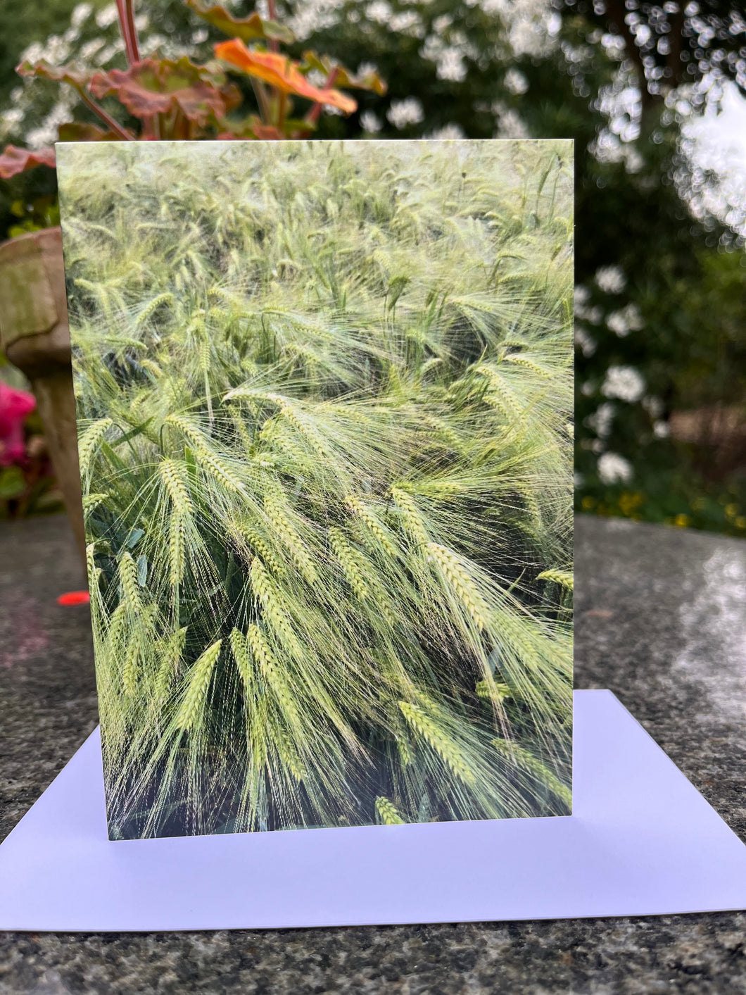 Rural Hampshire Greeting Card
