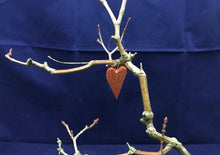 Load image into Gallery viewer, Valentine Long Heart Medium Size