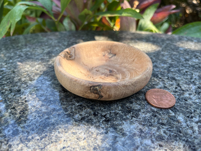 The Menkab Oak Bowl; Cetus Constellation