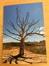 Load image into Gallery viewer, Greeting Cards, Pack over 8 assorted photos of rural life in Hampshire