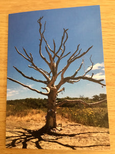 Greeting Cards, Pack over 8 assorted photos of rural life in Hampshire