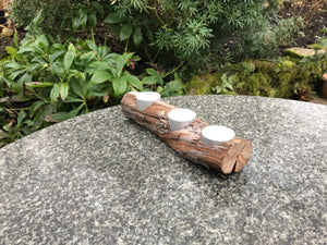 Alderamin, grape stem  tea light holder