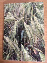 Load image into Gallery viewer, Greeting Cards, Pack over 8 assorted photos of rural life in Hampshire