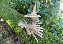 Load image into Gallery viewer, Wattle Tree