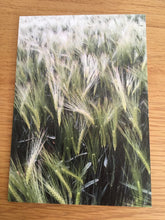 Load image into Gallery viewer, Greeting Cards, Pack over 8 assorted photos of rural life in Hampshire