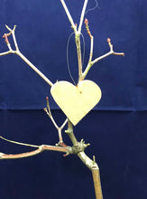 Load image into Gallery viewer, Valentine Heart medium Standard