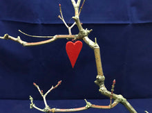 Load image into Gallery viewer, Valentine Heart, micro long shaped wooden heart