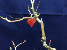 Load image into Gallery viewer, Valentine Heart, Ornate shape micro wooden heart
